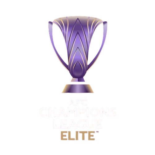 亚冠精英赛 首尔FCvs墨尔本城20251210