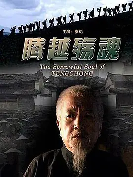 腾越殇魂[电影解说]