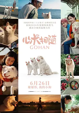 心犬相随[电影解说]