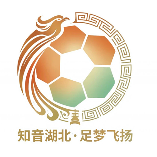 湖北省城市足球联赛 鄂州临空队VS荆州恒隆队20260718