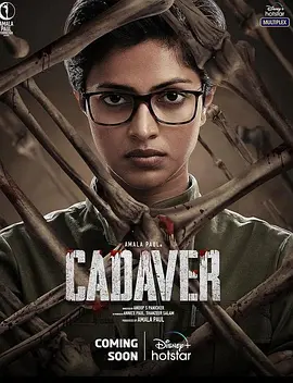 法医缉凶[电影解说]