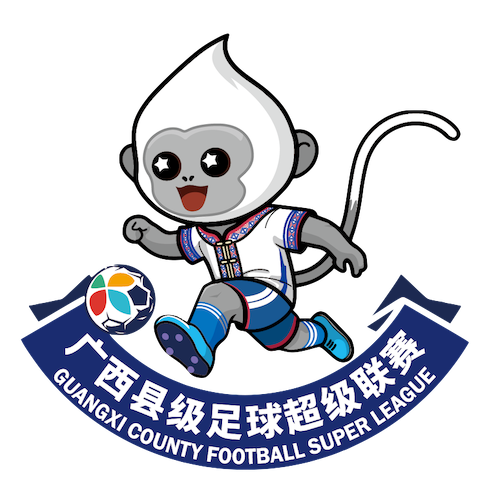 广西县级足球超级联赛 玉林市北流市队3.1贺州市平桂区队20260131